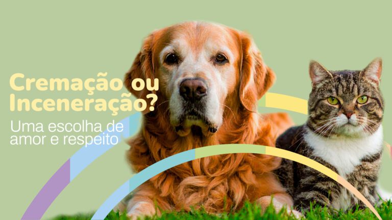 Cremação ou Incineração
