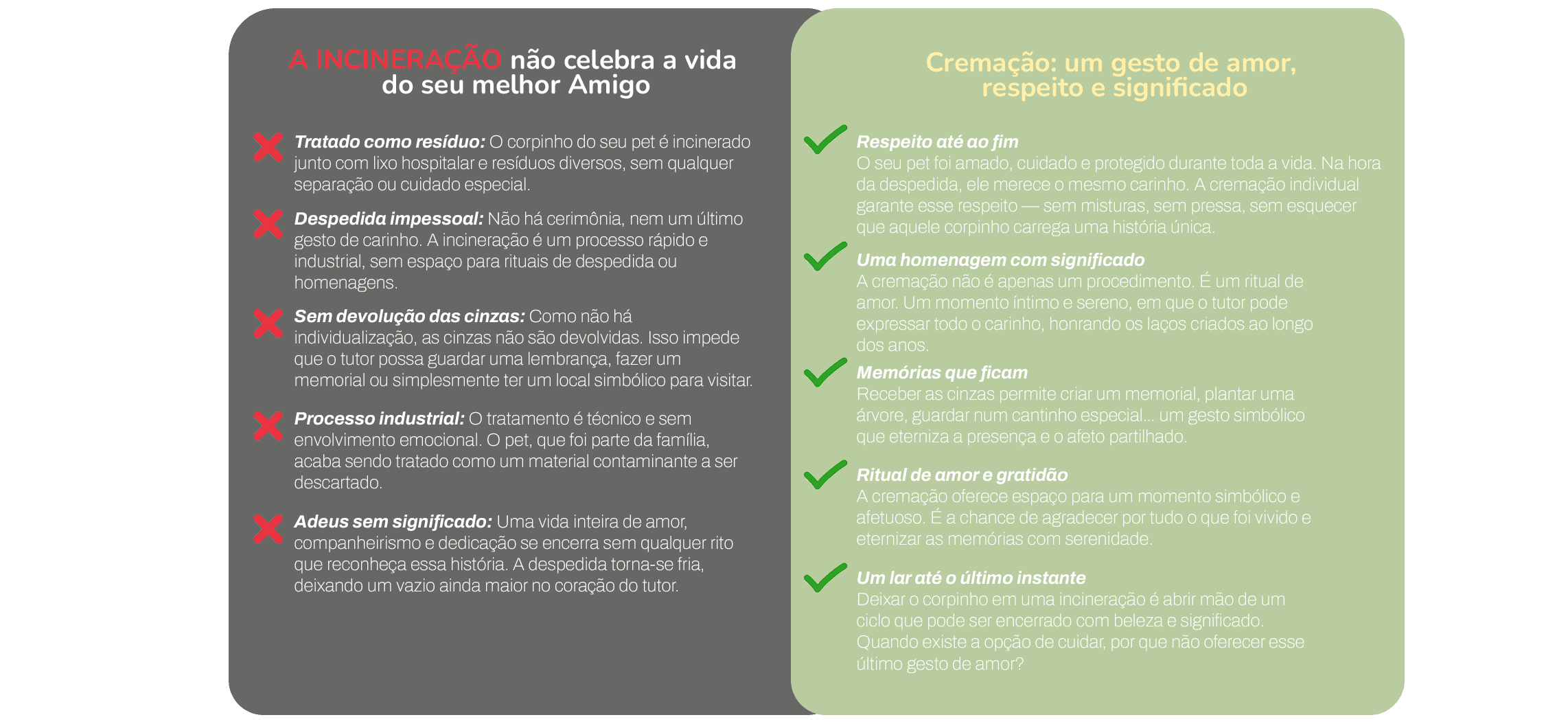 Banner incineração