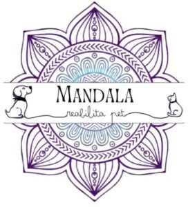 Mandala reabilita pet