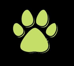 Adestrador Niba, parceiro do memorial pet A Ponte do Arco-Íris em projetos de cuidado e bem-estar animal