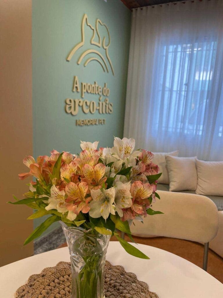 22da0382-c05f-49ce-bcc7-e3160683ae4a_0005_95399ae8-44c4-443c-b656-07561279bc05