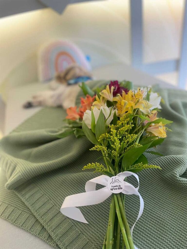 22da0382-c05f-49ce-bcc7-e3160683ae4a_0006_7e540b5d-0b16-4021-855f-90157d955951