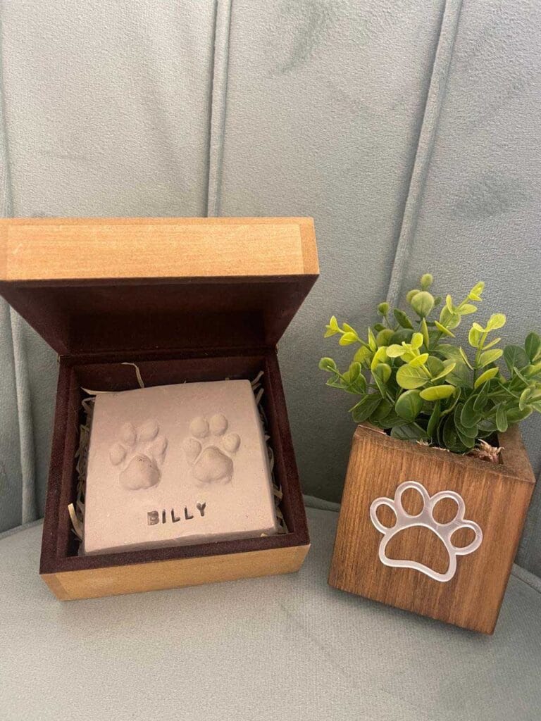 22da0382-c05f-49ce-bcc7-e3160683ae4a_0009_Camada 0